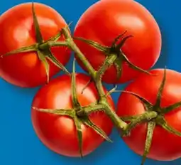 Aldi Süd Rispentomaten Angebot