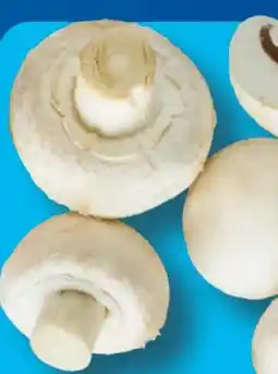 Aldi Süd Champignons Angebot