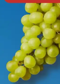 Aldi Süd Trauben Angebot