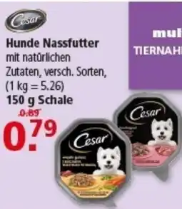 Multi Markt Cesar Hunde Nassfutter Angebot