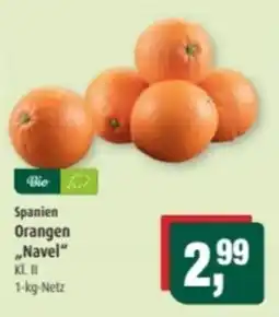 Markant Spanien Orangen „Navel" Angebot