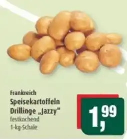Markant Frankreich Speisekartoffeln Drillinge „Jazzy" Angebot