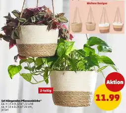 PENNY Set Hängendes Pflanzenkörbe Angebot