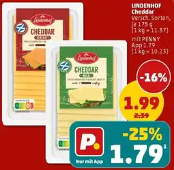 PENNY LINDENHOF Cheddar Angebot