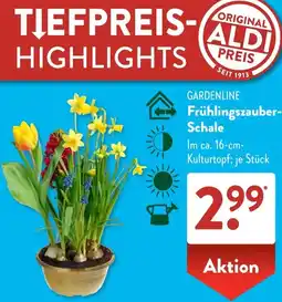 Aldi Süd GARDENLINE Frühlingszauber Schale Angebot