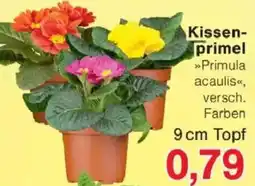 Jawoll Kissenprimel Angebot