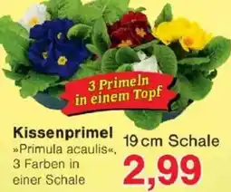 Jawoll Kissenprimel Angebot