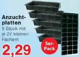 Jawoll Anzuchtplatten Angebot