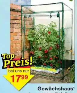 Jawoll Gewächshaus Angebot