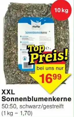 Wiglo Wunderland XXL Sonnenblumenkerne Angebot