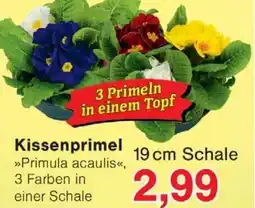 Wiglo Wunderland Kissenprimel Angebot
