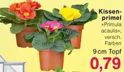 Wiglo Wunderland Kissenprimel Angebot