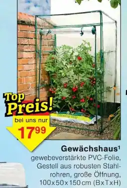 Wiglo Wunderland Gewächshaus Angebot