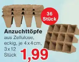 Wiglo Wunderland Anzuchttöpfe Angebot