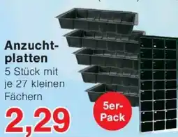 Wiglo Wunderland Anzuchtplatten 5er- Pack Angebot