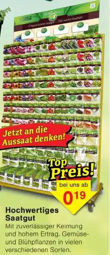 Wiglo Wunderland Hochwertiges Saatgut Angebot