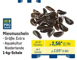 METRO Miesmuscheln Angebot