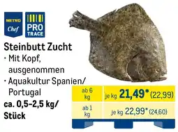 METRO Steinbutt Zucht Angebot