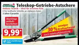 Norma Teleskop-Getriebe-Astschere Angebot
