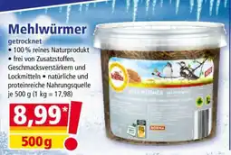 Norma Mehlwürmer Angebot