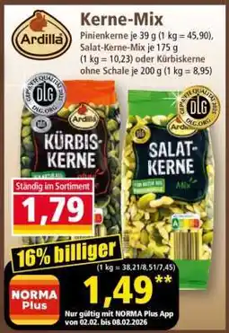Norma Kerne-Mix Angebot