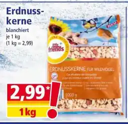 Norma Erdnusskerne Angebot