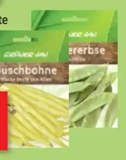 Thomas Philipps Grüner Jan Hülsenfrüchte Angebot