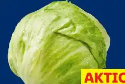 Lidl Eisbergsalat Angebot