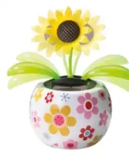 Rossmann Rossmann Ideenwelt Solar Gute Laune Blume Angebot