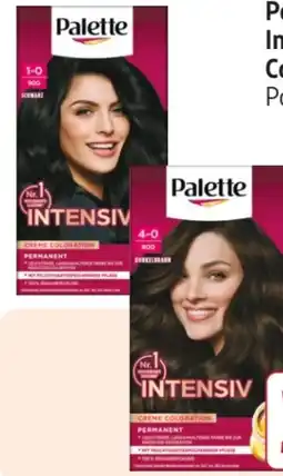 Rossmann Palette Intensive-Creme-Coloration Angebot