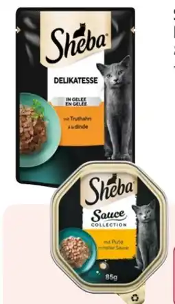 Rossmann Sheba Katzennahrung Angebot