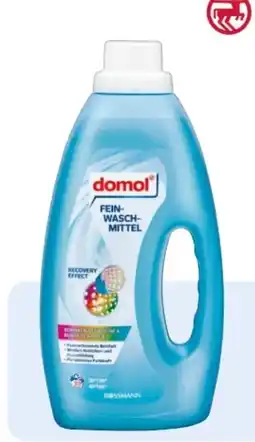 Rossmann Domol Feinwaschmittel Angebot