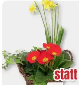 B1 Discount Baumarkt Weidenkorb Angebot