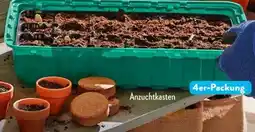 Aldi Süd Gardenline Pflanzen-Anzuchtkasten Angebot