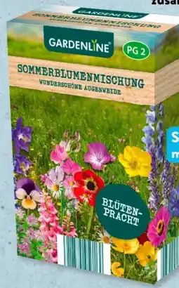 Aldi Süd Gardenline Sommerblumenmischung Angebot