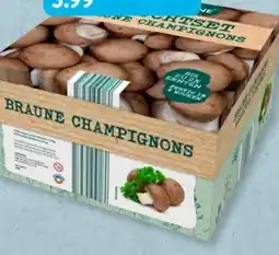 Aldi Süd Gardenline Braune Champignons Angebot