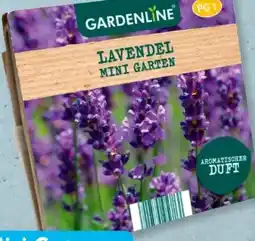 Aldi Süd Gardenline Mini-Garten Lavendel Angebot