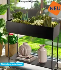 Aldi Süd Belavi Metall-Hochbeet Angebot