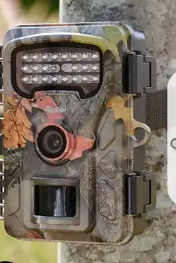 Aldi Süd Rollei Wildkamera HD-32 Angebot