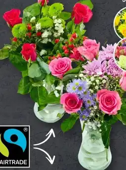 Aldi Süd Fairtrade Petit-Strauß Angebot