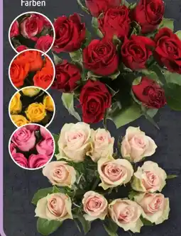 Aldi Süd Fairtrade-Rosen Angebot