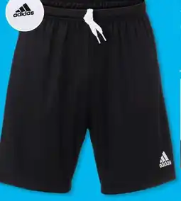 Aldi Süd Adidas Damen-Shorts Angebot
