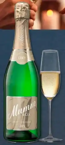 Aldi Süd Mumm & Co. Jahrgangssekt Angebot