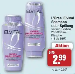 Famila Nord West L'Oreal Elvital Shampoo oder Spülung Angebot