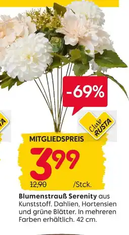 Rusta Blumenstrauß serenity Angebot