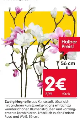 Rusta Zweig magnolie Angebot