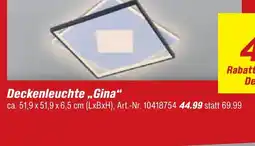 toom Baumarkt Deckenleuchte gina Angebot