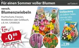 Sonderpreis Baumarkt versch. Blumenzwiebeln Angebot