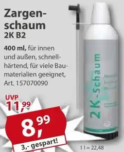 Sonderpreis Baumarkt Zargenschaum 2K B2 Angebot