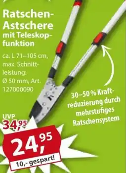Sonderpreis Baumarkt Ratschen Astschere mit Teleskopfunktion Angebot